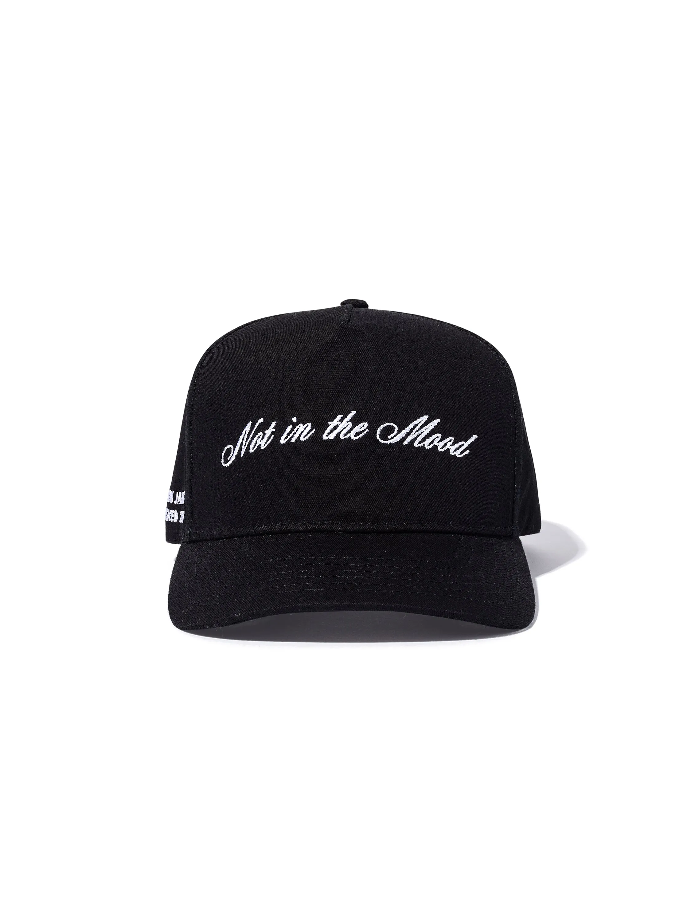 Not in the Mood Trucker Hat